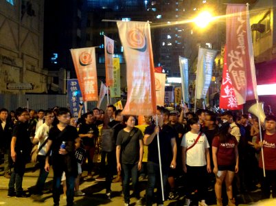 香港各界發起反人大釋法大遊行和集會 17