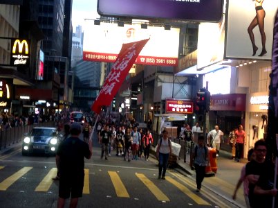 香港各界發起反人大釋法大遊行和集會 12
