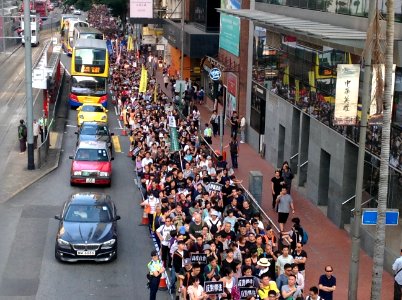 香港各界發起反人大釋法大遊行和集會 42