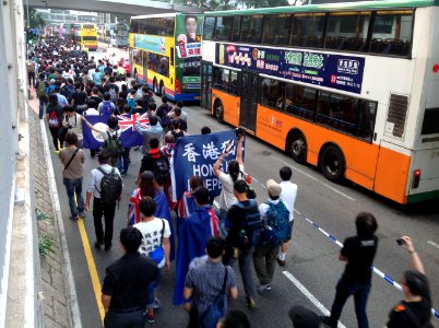 香港各界發起反人大釋法大遊行和集會 15