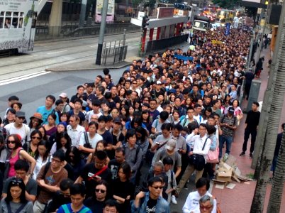 香港各界發起反人大釋法大遊行和集會 25