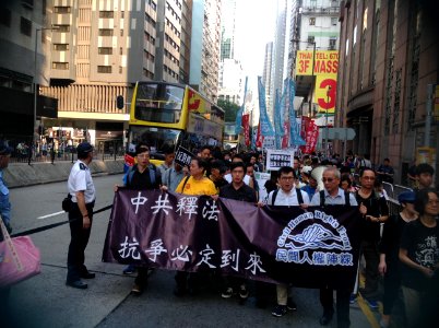 香港各界發起反人大釋法大遊行和集會 20