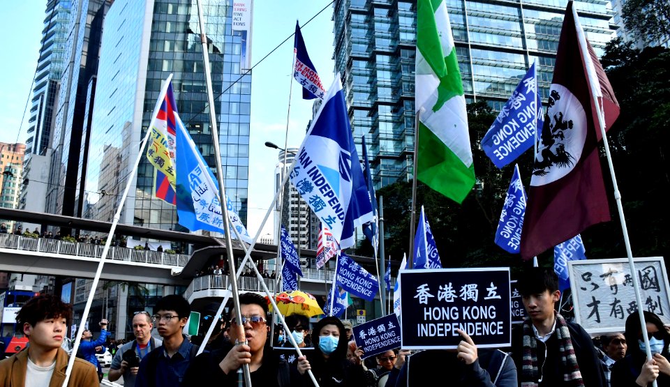 香港元旦遊行2019 4
