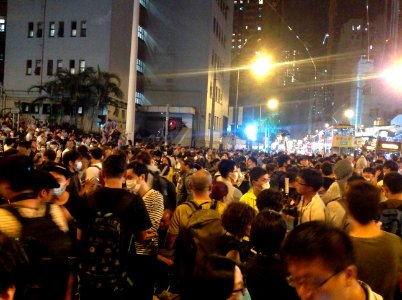 香港各界發起反人大釋法大遊行和集會 50