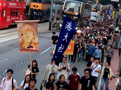 香港各界發起反人大釋法大遊行和集會 23