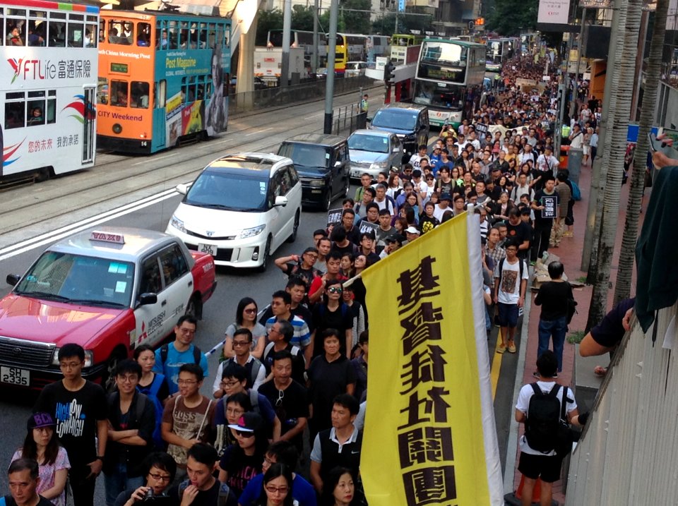 香港各界發起反人大釋法大遊行和集會 33