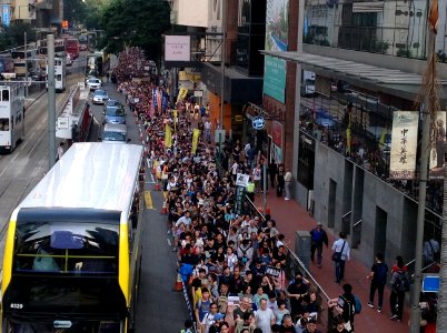 香港各界發起反人大釋法大遊行和集會 28