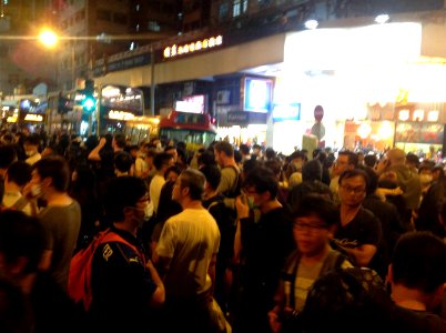 香港各界發起反人大釋法大遊行和集會 58