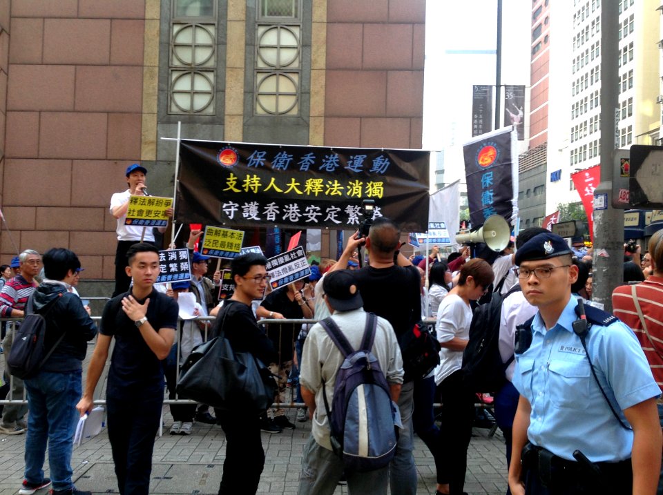 香港各界發起反人大釋法大遊行和集會 41