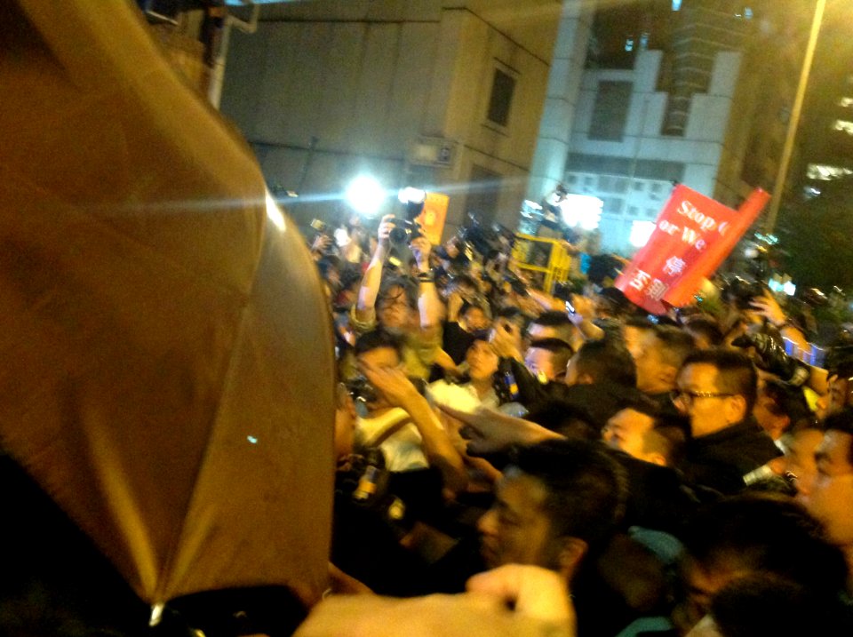 香港各界發起反人大釋法大遊行和集會 88