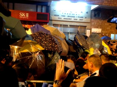 香港各界發起反人大釋法大遊行和集會 66