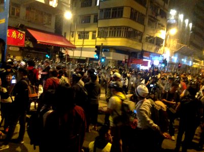 香港各界發起反人大釋法大遊行和集會 102