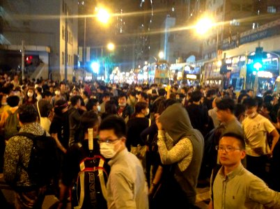 香港各界發起反人大釋法大遊行和集會 74