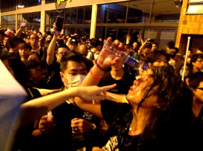 香港各界發起反人大釋法大遊行和集會 57