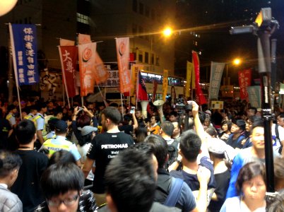 香港各界發起反人大釋法大遊行和集會 52
