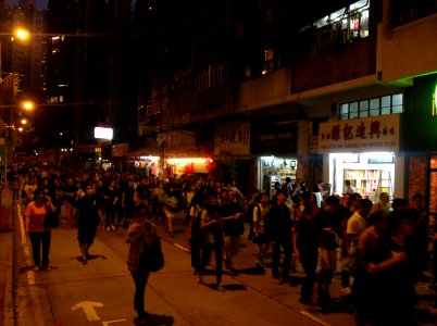 香港各界發起反人大釋法大遊行和集會 55