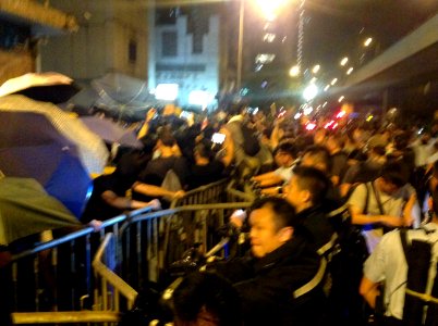 香港各界發起反人大釋法大遊行和集會 73