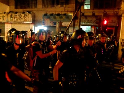 香港各界發起反人大釋法大遊行和集會 103