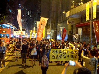 香港各界發起反人大釋法大遊行和集會 98