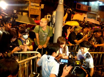 香港各界發起反人大釋法大遊行和集會 71
