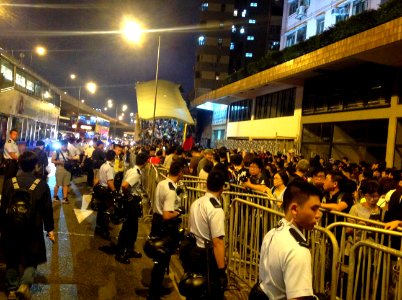 香港各界發起反人大釋法大遊行和集會 81