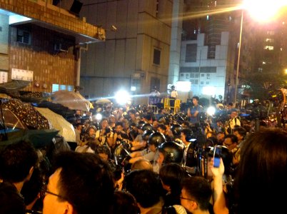 香港各界發起反人大釋法大遊行和集會 76