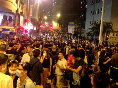 香港各界發起反人大釋法大遊行和集會 110