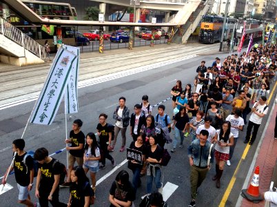香港各界發起反人大釋法大遊行和集會 29