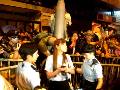 香港各界發起反人大釋法大遊行和集會 89
