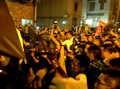 香港各界發起反人大釋法大遊行和集會 87