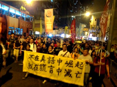 香港各界發起反人大釋法大遊行和集會 92