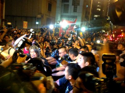 香港各界發起反人大釋法大遊行和集會 95