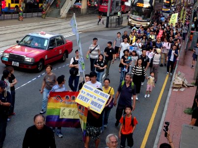 香港各界發起反人大釋法大遊行和集會 38