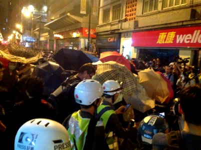 香港各界發起反人大釋法大遊行和集會 100