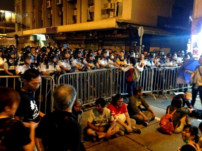 香港各界發起反人大釋法大遊行和集會 108