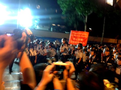 香港各界發起反人大釋法大遊行和集會 77