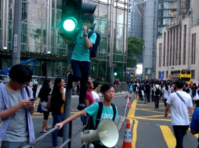 香港各界發起反人大釋法大遊行和集會 19
