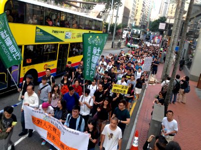 香港各界發起反人大釋法大遊行和集會 35