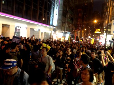 香港各界發起反人大釋法大遊行和集會 86