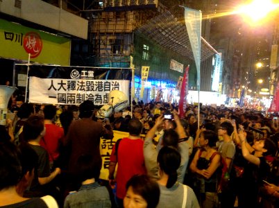 香港各界發起反人大釋法大遊行和集會 94