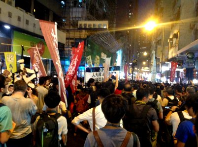 香港各界發起反人大釋法大遊行和集會 67