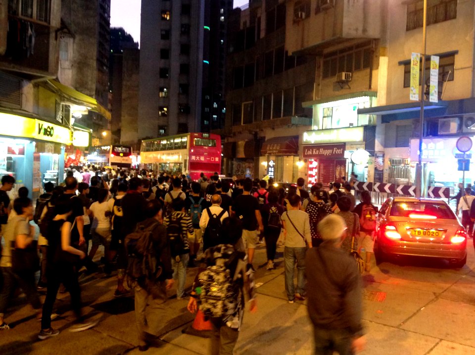 香港各界發起反人大釋法大遊行和集會 75