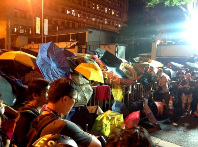 香港各界發起反人大釋法大遊行和集會 99