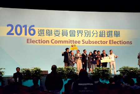 香港民主派在特首選委會選舉取得325席 (VOA 湯惠芸攝)