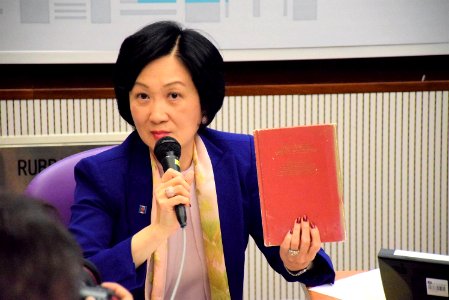 香港民主黨公佈首份文件回應本土思潮3