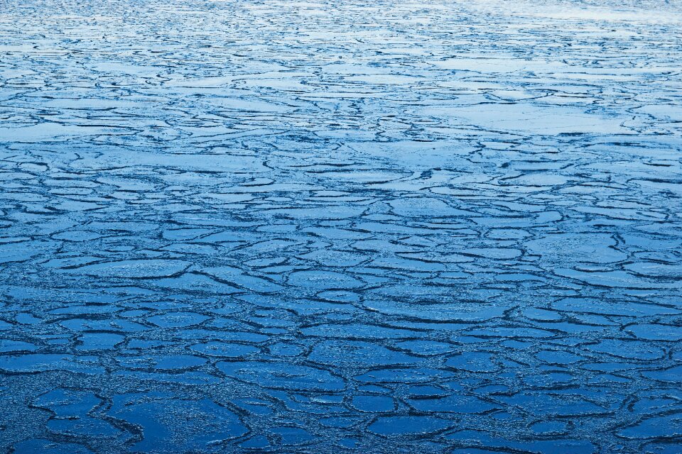 Background nature winter