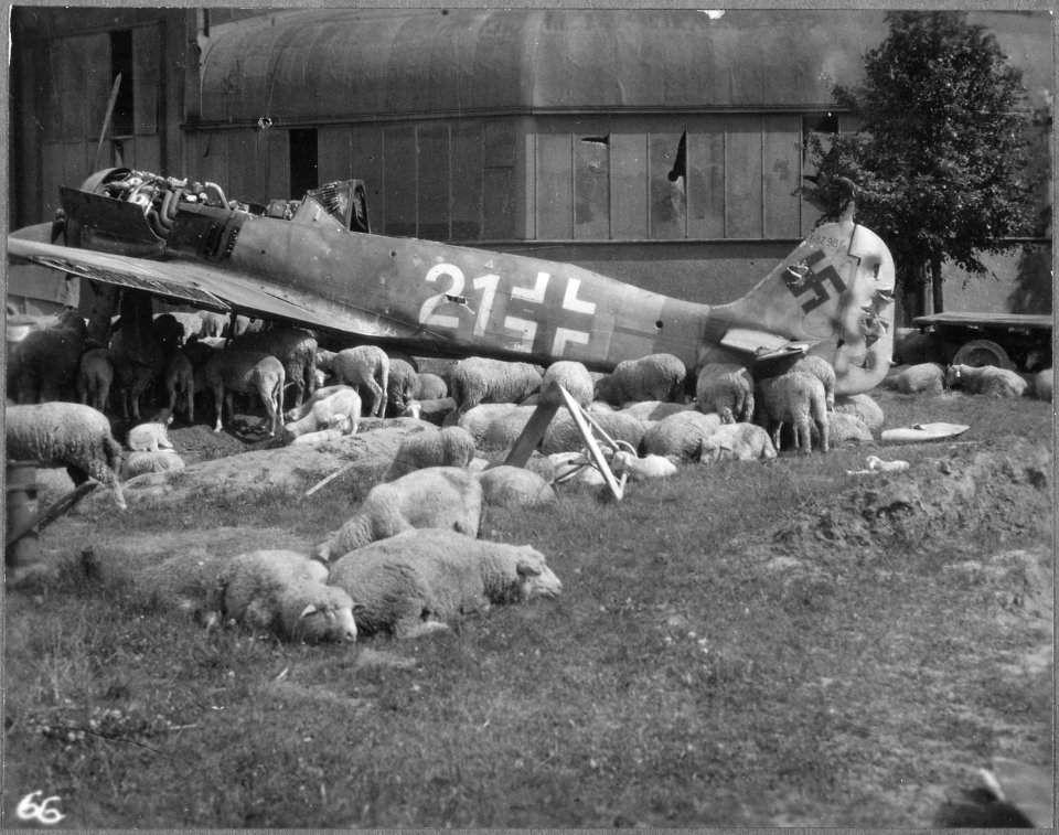 Wrecked plane in Nuremberg, Germany, 1946 - NARA - 542347