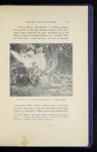 Wyprawa na Patmos, Efez i Krete w r. 1899 i 1903 1904 (72177428)