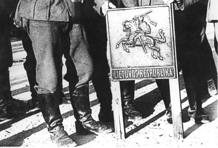 Wyłamane godło Litwy Pogoń (2-653)