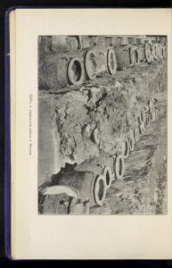 Wyprawa na Patmos, Efez i Krete w r. 1899 i 1903 1904 (72178723)